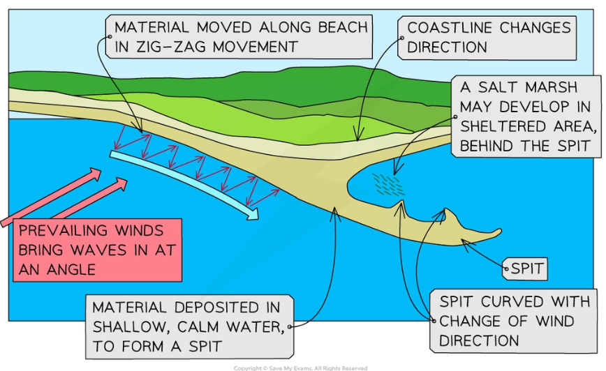 <p>A <strong>spit</strong> is an elongated, narrow ridge of land that has one end joined to the mainland and projects out into the sea or across an estuary, usually on drift-aligned coasts.</p><p>They form where there is a sudden change in the direction of a coastline.</p><p>Spits are composed of sand and/ or shingle, dependent in availability of material and wave energy.</p><p>1. Longshore drift carries material along the beach in one direction, dependent on the angle of prevailing winds</p><p>2. Sand and shingle deposit around the headland/ where the beach changes direction- rather than ‘bending’ around the coastline- due to loss in water’s energy</p><p>3. Material will eventually build up above the high water mark, especially during storms</p><p>4. Finer material can be carried further along the spit until the water loses energy and deposits it, extending the spit</p><p>5. Ends of the spit can curve due to wave refraction, carrying material into more sheltered water</p><p>6. Deep water, limited carrying capacity of water, or the flow from a river at an estuary may limit a spit from growing any further</p>