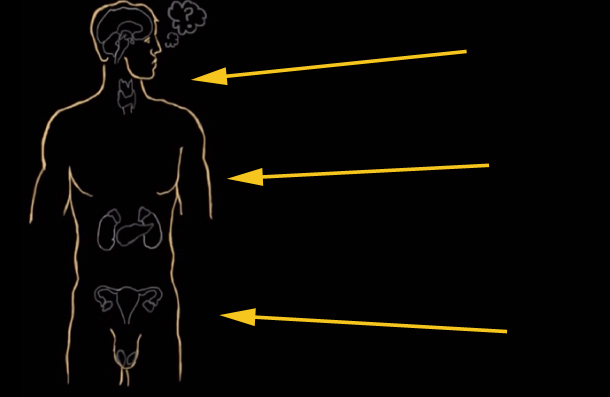 <p><span>Approximately how many cells are in the human body?</span></p>