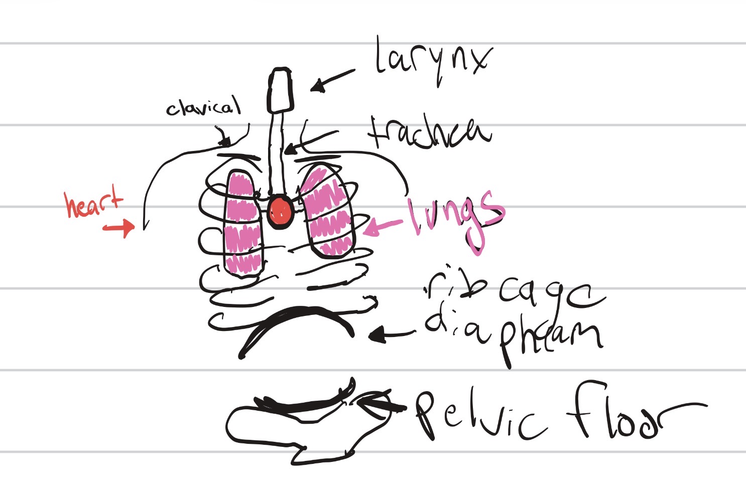 <p>Draw 6 thingies</p>