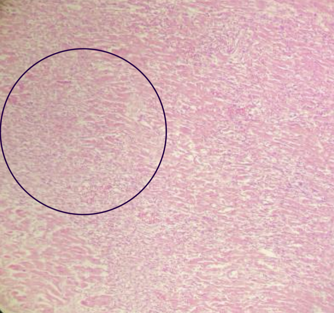 <p>Identify</p>