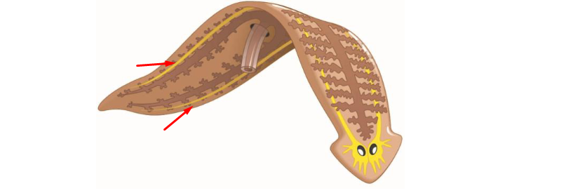 <p>What? Define?</p>