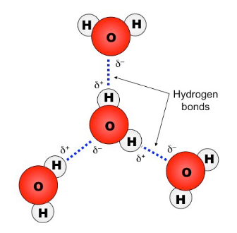 <p>Two poles, up to 4 bonds. </p>