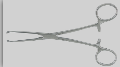 <p>Allis Tissue Forceps</p>