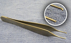 <p>AKA Rat Tooth</p>