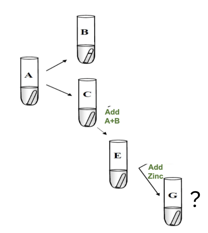 <p>After adding Solution A+B, then Zinc powder for Nitrate Reduction, you <strong>don’t</strong> see a color change. What does this mean? </p>