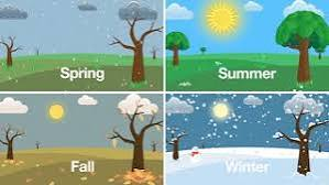 <p><span style="background-color: transparent;">Seasons of the Year</span></p>