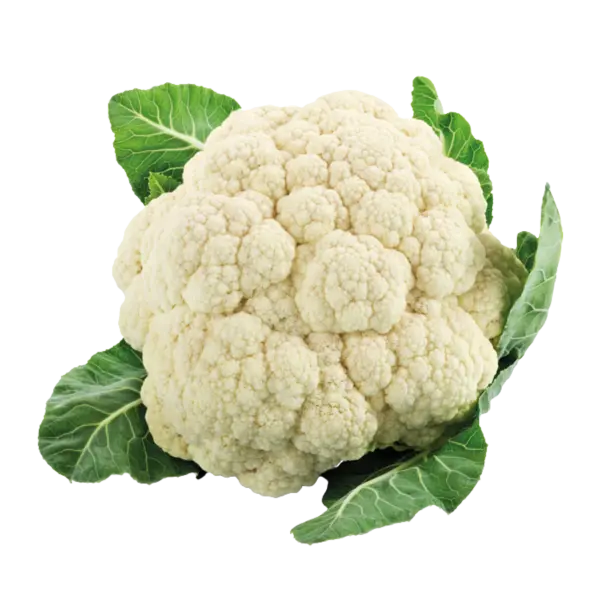 <p>una coliflor</p>