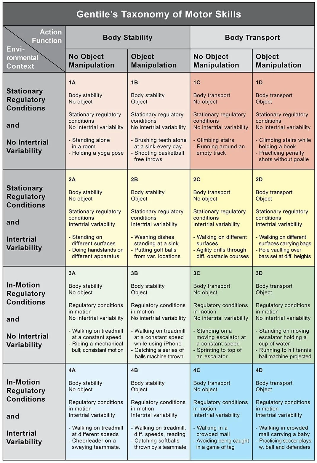 <ul><li><p>Environmental context: </p><ul><li><p>Regulatory conditions — stable/predictable; environmental features which movements must conform to; spatial/temporal</p><ul><li><p>(a) Stationary / In-motion</p></li><li><p>(b) Intertrial variability — whether regulatory conditions change from one trial to the next </p></li></ul></li><li><p>Non-regulatory conditions — environment is changing/unpredictable (*not included in the chart)</p><ul><li><p>(a) Intertrial variability</p></li></ul></li></ul></li><li><p>Function of the action </p><ul><li><p>(a) Body transport</p></li><li><p>(b) Object manipulation</p></li></ul></li></ul><p>*1A is simplest, 4D is most complex</p>