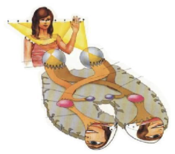 <p>Parallel processing of information</p>