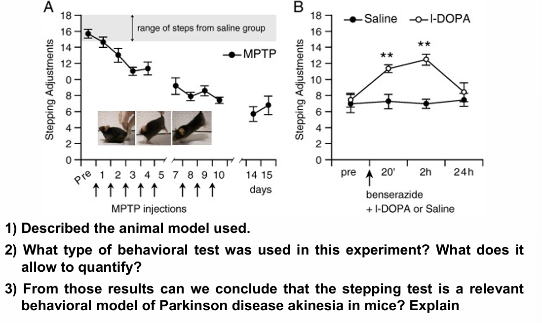 <p>MPTP and stepping deficit</p>
