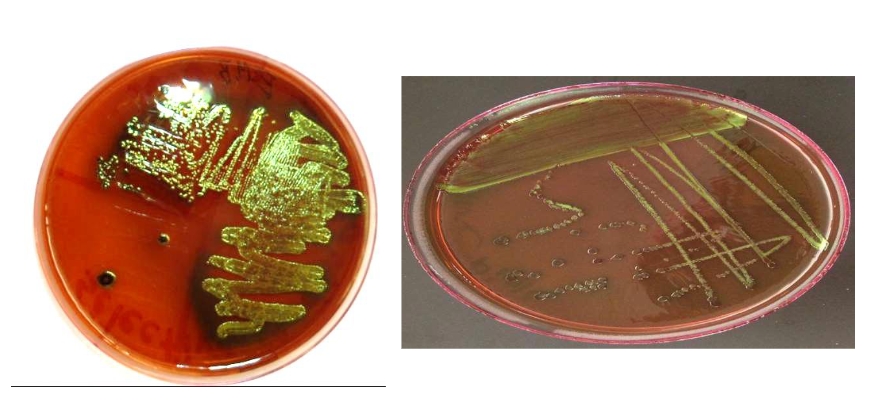 <p>what is this </p>