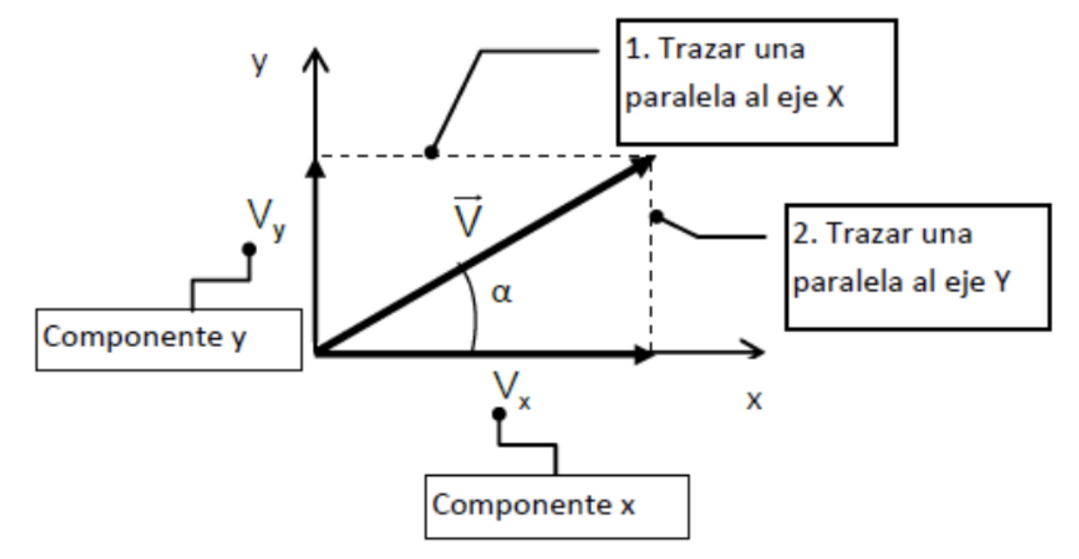 <p>Se traslada el vector al origen y se trazan paralelas a los ejes para obtener sus componentes en x e y.</p><p></p>