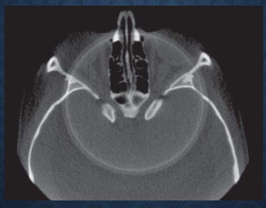 <p>*what is this?</p>