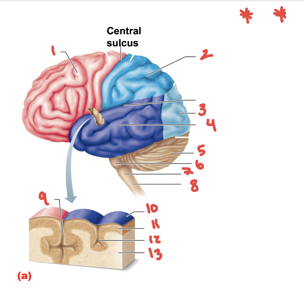 <p>What is number 4 **</p>
