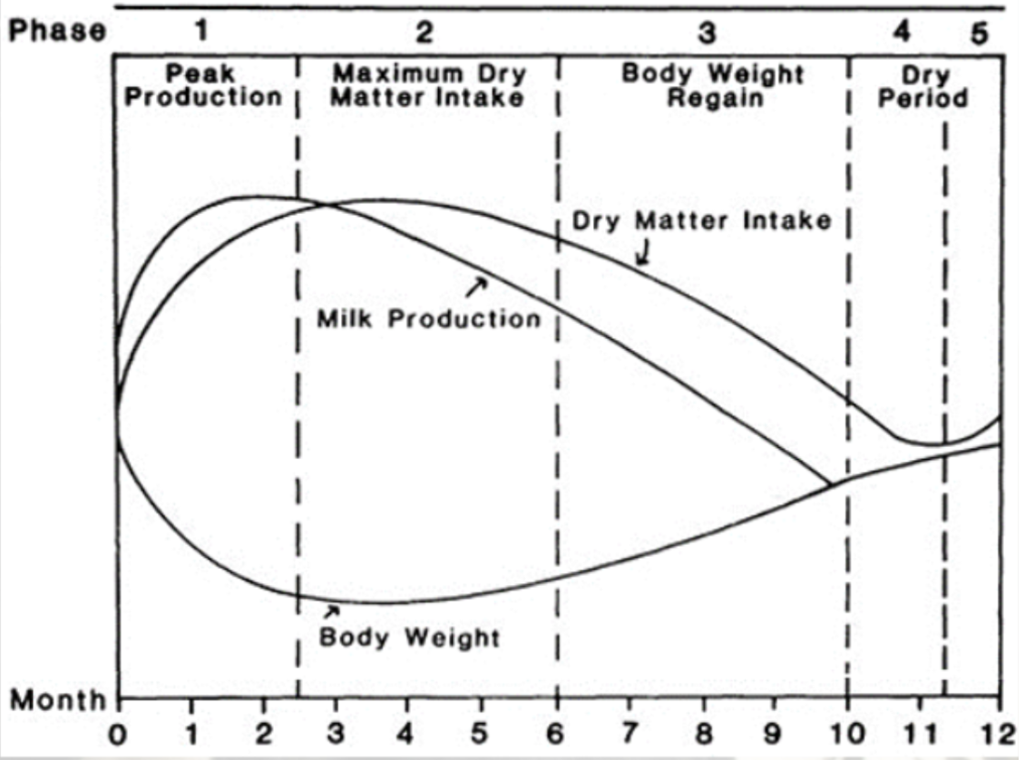 <p><span>Relationships between milk production, dry matter intake, and body weight changes typically observed during normal lactation/gestation cycle</span></p>