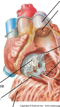 <p>Right center</p>