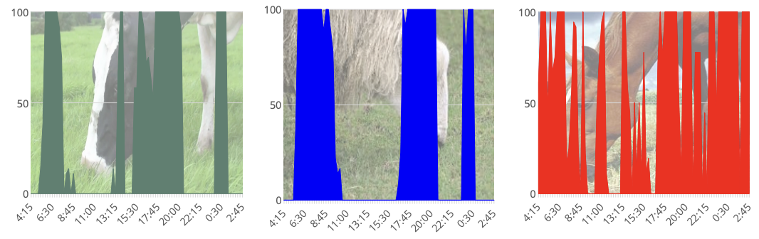 <p>horses have a more constant grazing pattern because they don’t eat meals (due to their single stomachs) so they eat small amounts all day</p>