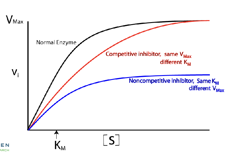<p>Same Vmax</p><p>Increases the apparent Km value</p>