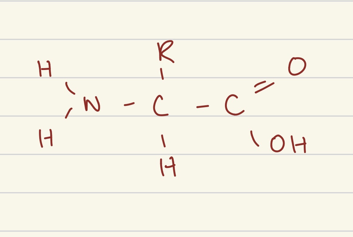 <p>what is this structure </p>