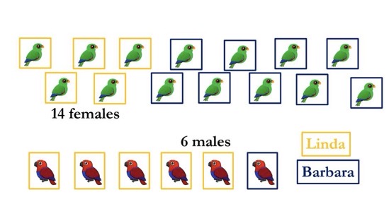 <p>Two pregnant female parrots fly to a new island. Linda produces a 1:1 sex ratio of offspring, and Barbara produces a 9:1 female biased ratio of offspring. Each clutch of eggs laid by both parrots comprises 10 eggs. Assuming that mating is random, how many grandchildren will Linda produce on this island?</p><p>A. 50<br>B. 100<br>C. 113<br>D. 150<br>E. 167</p>
