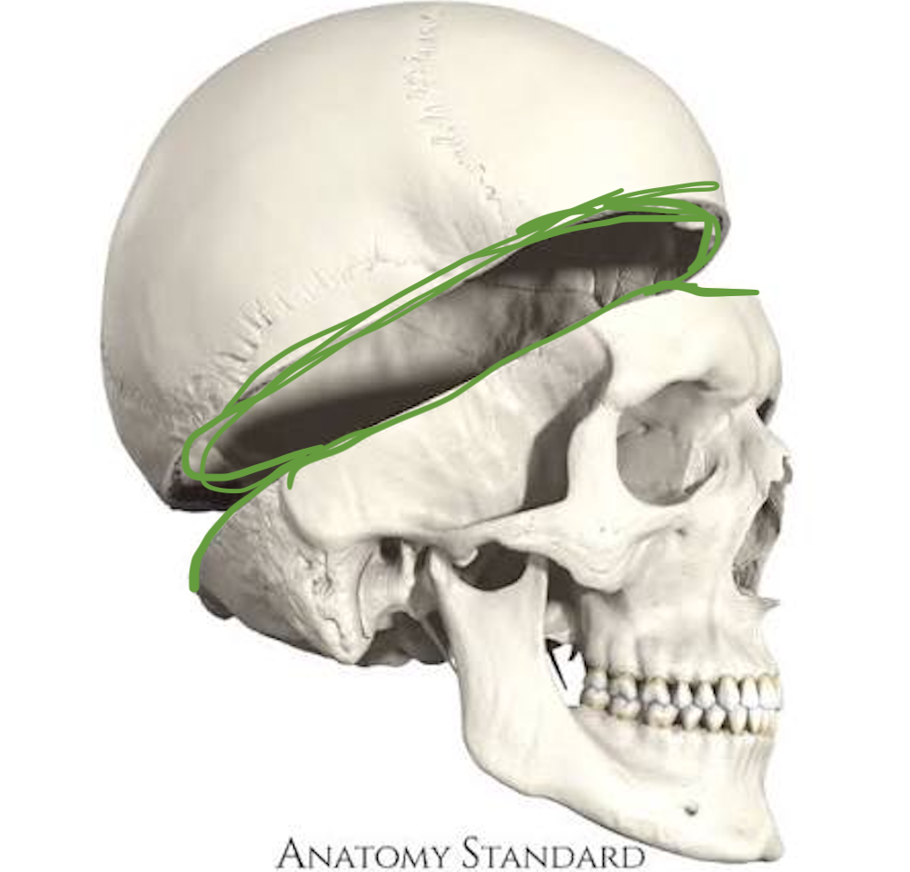 <p>“skull cap”</p>