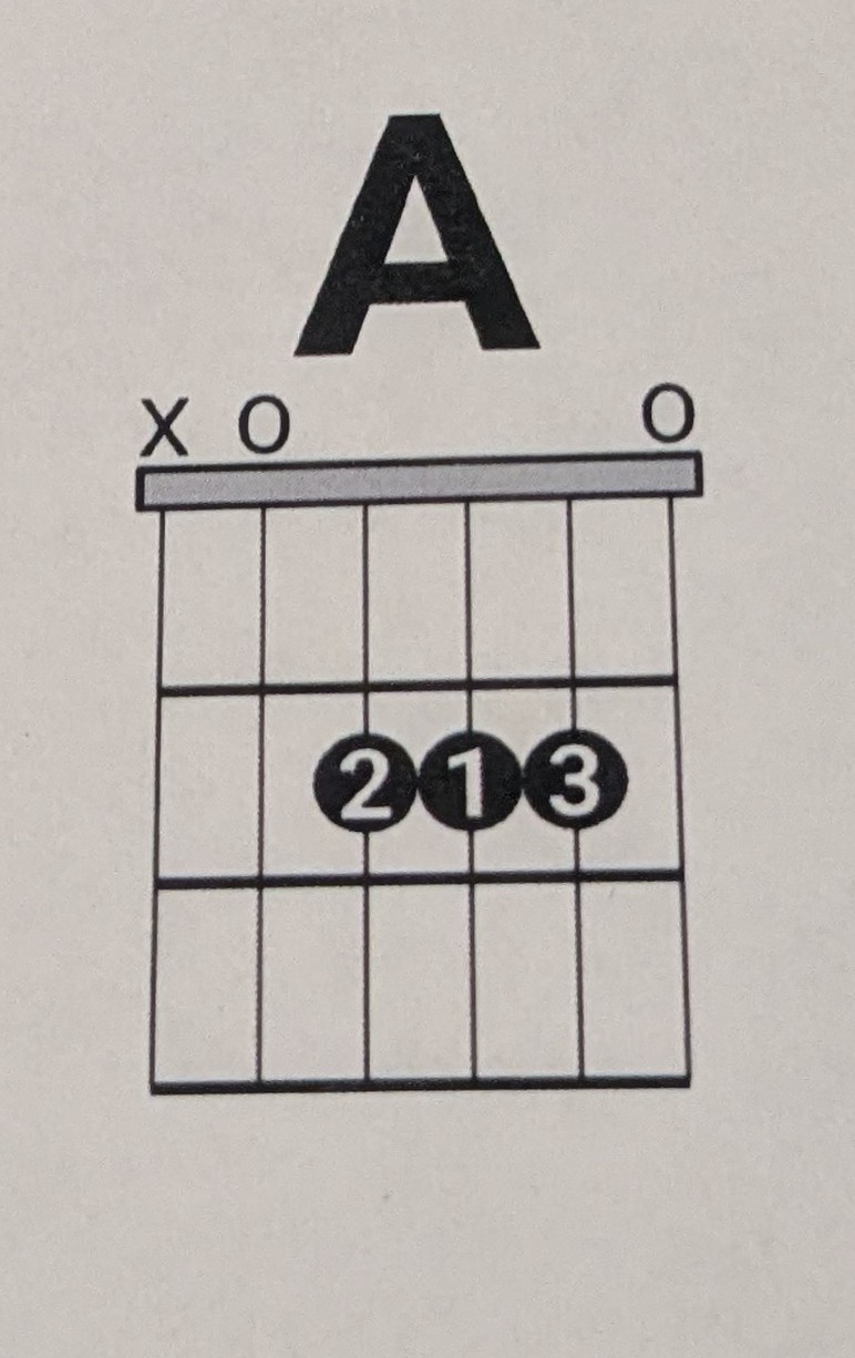 term image
