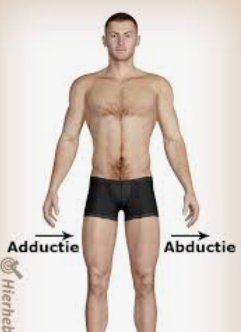 <p>Geef aan in welk vlak en om welke as abductie en adductie worden uitgevoerd.</p>