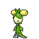 <p>Olivado</p>