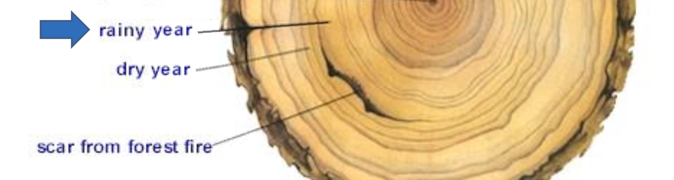 <p>The year before the rainy year indicated</p><p class="p2">was ___, and 4 years after it was ___.</p>