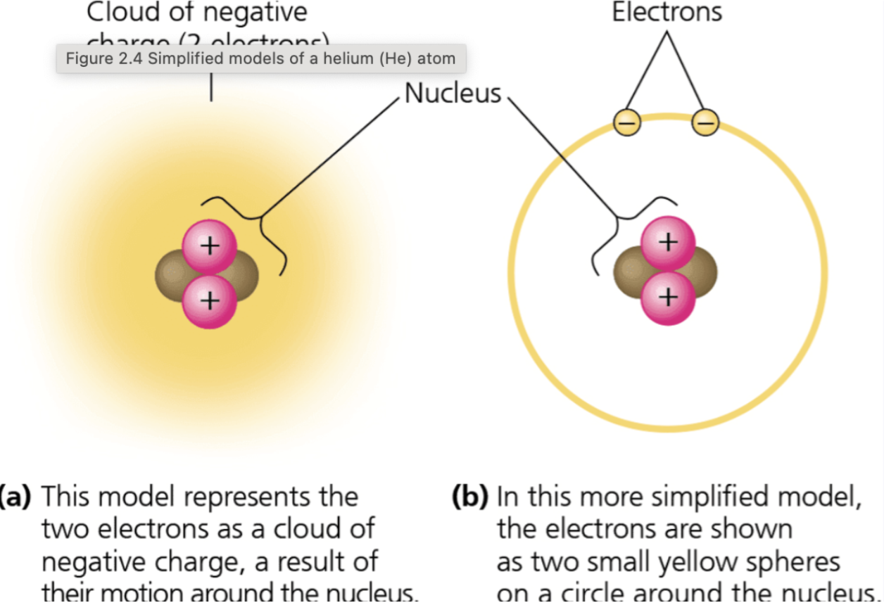 <p><span style="background-color: transparent; font-family: "Times New Roman", serif;">Each element consists of unique atoms composed of subatomic particles including</span></p><ul><li><p><span style="background-color: transparent; font-family: "Times New Roman", serif;">Protons&nbsp;</span></p></li><li><p><span style="background-color: transparent; font-family: "Times New Roman", serif;">Neutrons</span></p></li><li><p><span style="background-color: transparent; font-family: "Times New Roman", serif;">Electrons</span></p></li></ul><p><span style="background-color: transparent; font-family: "Times New Roman", serif;"><strong>Neutrons and protons form the atomic nucleus</strong></span></p><ul><li><p><span style="background-color: transparent; font-family: "Times New Roman", serif;">Electrons form a negatively charged fast moving cloud around the nucleus</span></p></li><li><p><span style="background-color: transparent; font-family: "Times New Roman", serif;">Electrons within atoms are distributed in electron shells, which determine the chemical nature and reactivity of an atom</span></p></li></ul><p></p>