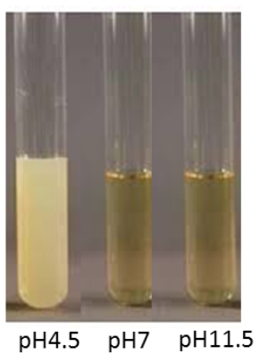 <p>What culture is in this vile, pH=4.5</p>