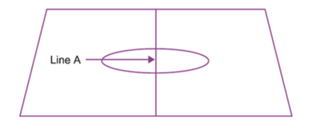 <p>According to the front-horizontal foreshortening hypothesis, which group of people will be most susceptible to the horizontal-vertical illusion?</p>