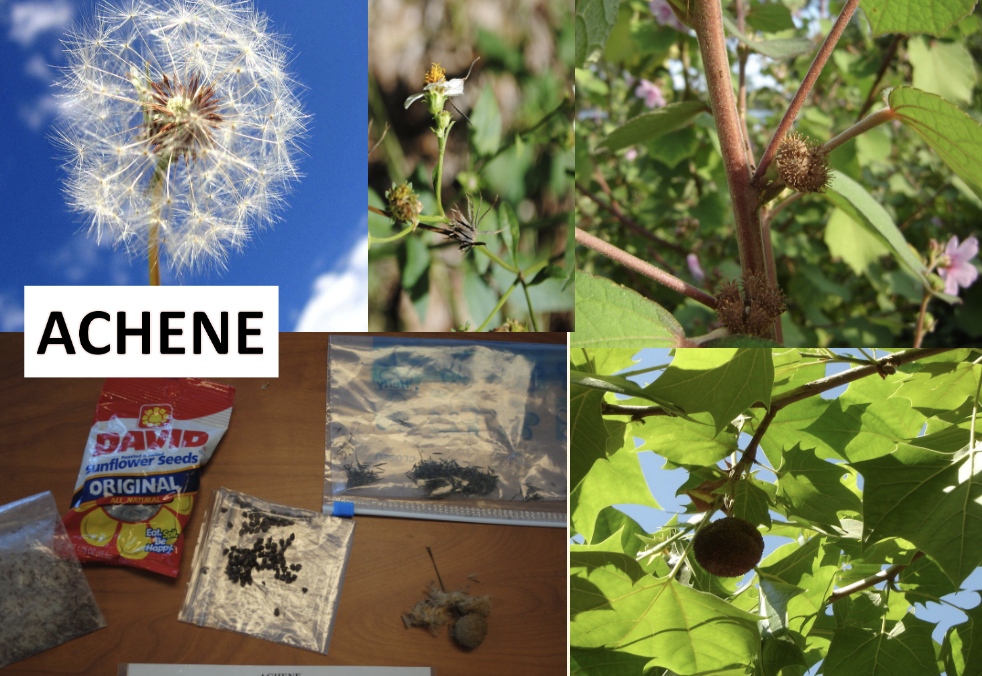 <p>What is this?</p>