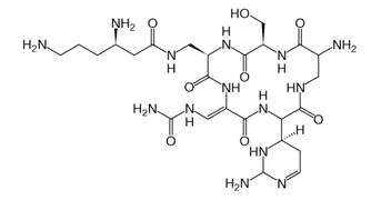 <p>[ANTIMYCOBACTERIAL DRUGS]</p><p>a. Capreomycin</p><p>b.  4-aminosalicylic acid</p><p>c. Ethionamide</p><p>d. Clofazimine (Lamprene)</p>