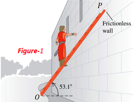 <p>How many are forces acting on the ladder?</p>