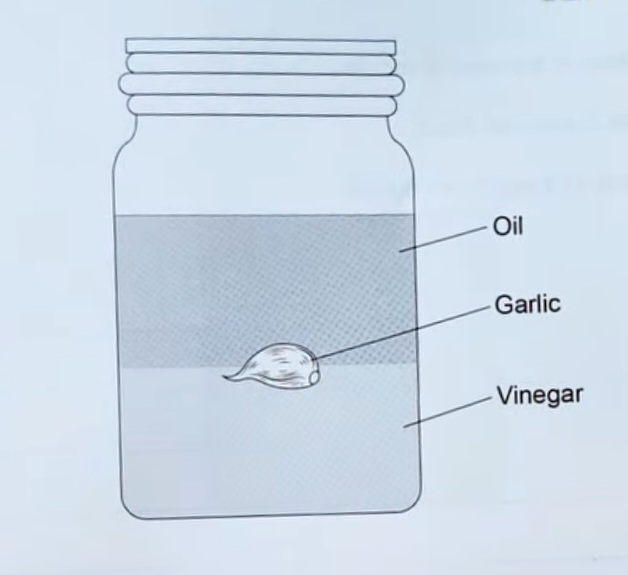 <p>Figure 10 shows a jar containing oil, vinegar and a piece of garlic</p><p class="has-focus">The garlic is at the boundary between the oil and the vinegar</p><p class="has-focus">Explain why there is upthrust on the garlic (4)</p>