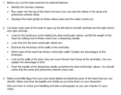 <p>You don't have to know the steps, just appreciate and understand them!</p>