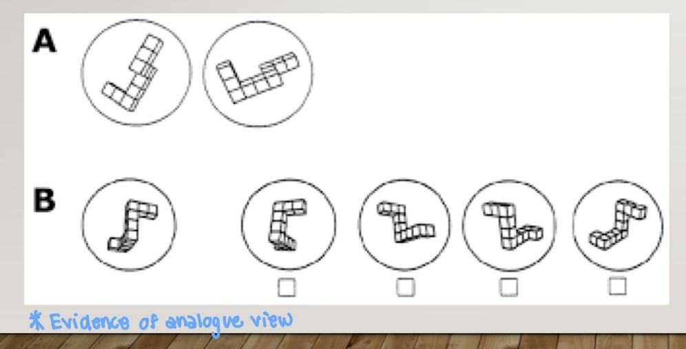 <p>would show participants these photos and ask if they were the same figure </p><p>then they would measure how much they would have to rotate it and how long it took them to do that </p><ul><li><p>these studies lead to analog theory (the way you represent something in your mind, to scale: 1 to 1)</p></li></ul><p></p>
