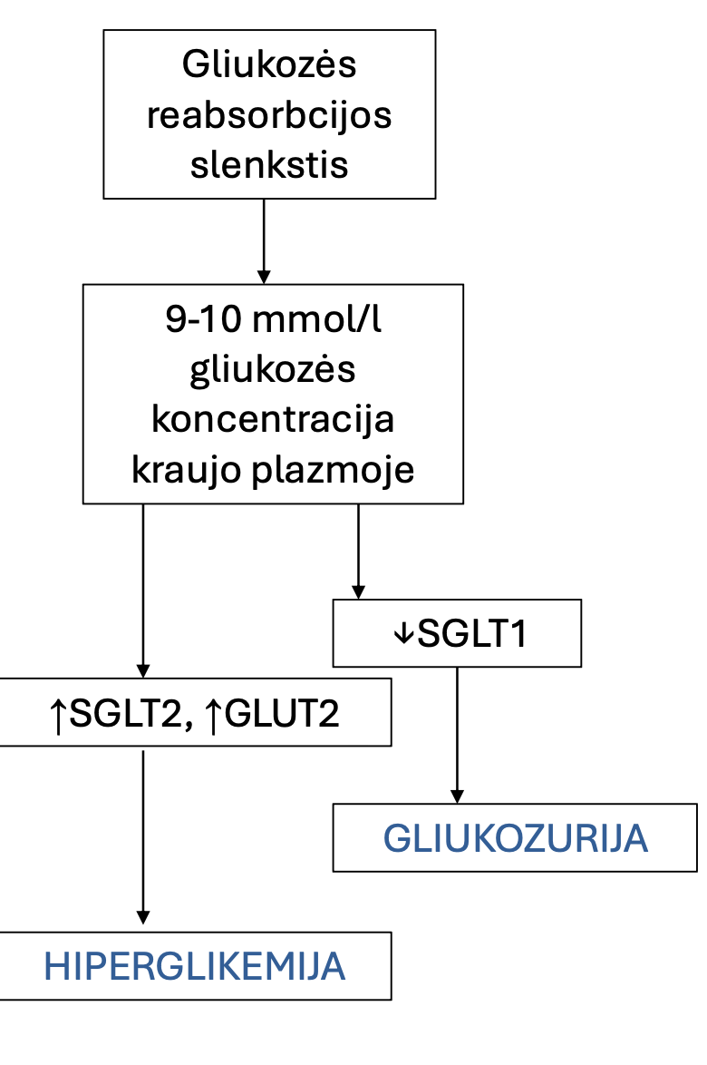 <p>Mechanizmo aprašymas</p>