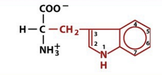 <p>aromatic</p>