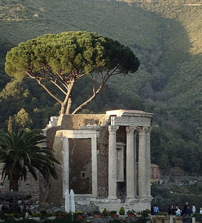 <p>So-Called Temple of Vesta</p>