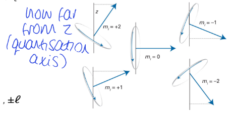<p> |<strong>ℓ</strong>| = 6<sup>1/2</sup><span>ħ (length of arrow)</span></p><p><span>for m</span><sub>ℓ</sub> = 0, the projection of ℓ on the quantisation axis (z) is 0 </p><ul><li><p>perpendicular </p></li></ul><p>if m<sub>ℓ</sub> = <span>± 2, </span><strong>ℓ </strong>gets as close to z as it can, points upwards when m<sub>ℓ</sub>>0 and down when <0</p><ul><li><p>the angle between the vector and z is as small as it gets</p></li></ul><p>if m<sub>ℓ</sub> = ± 1, <strong>ℓ </strong>doesnt get as close as to z, but is not perpendicular</p><ul><li><p>the angle between <strong>ℓ </strong>and z is smaller than 90 but not as small as m<sub>ℓ</sub> = ± 2</p></li></ul><p></p>