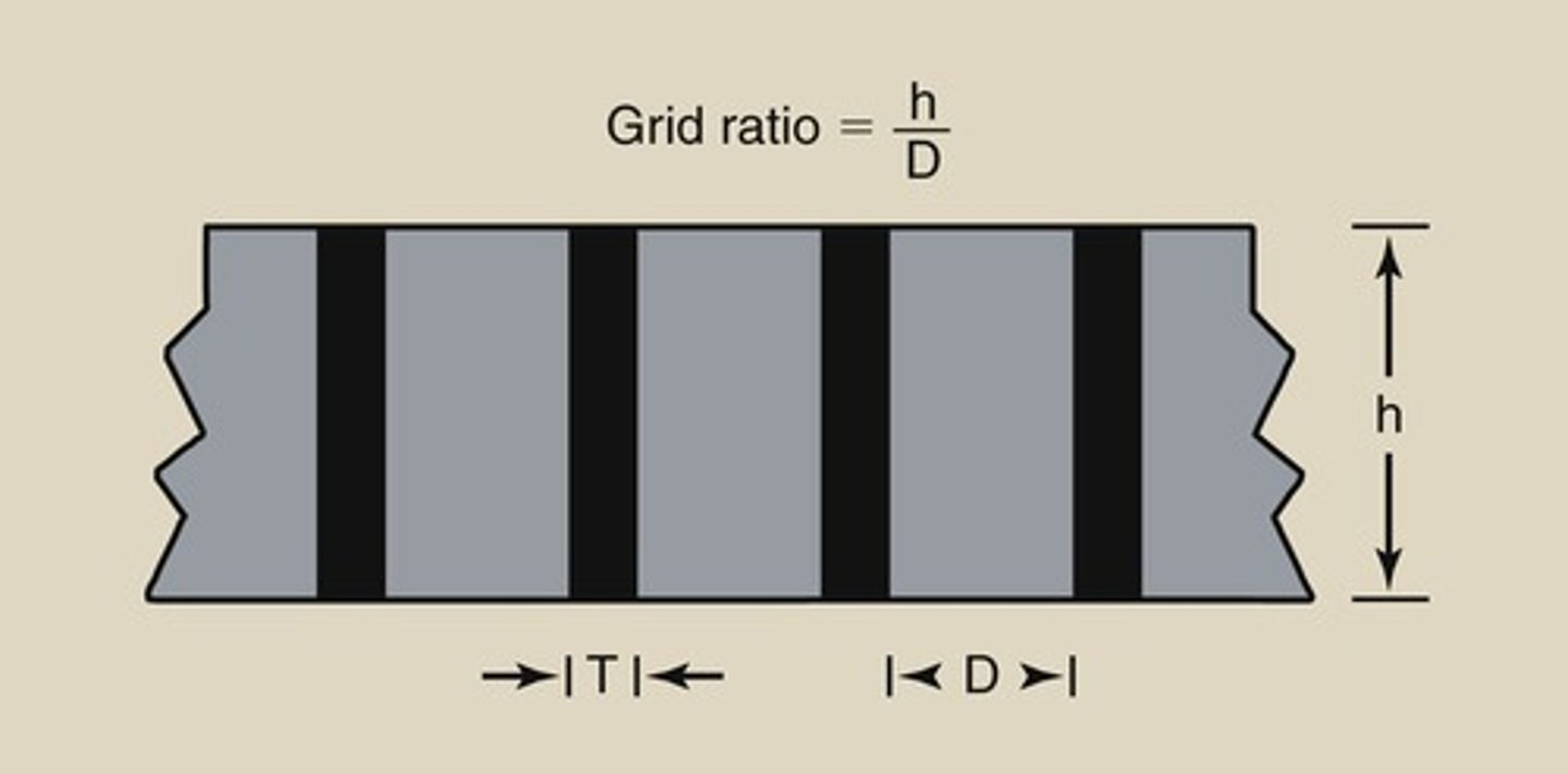 <p>Material that does not allow x-rays to pass through, used in grid strips.</p>