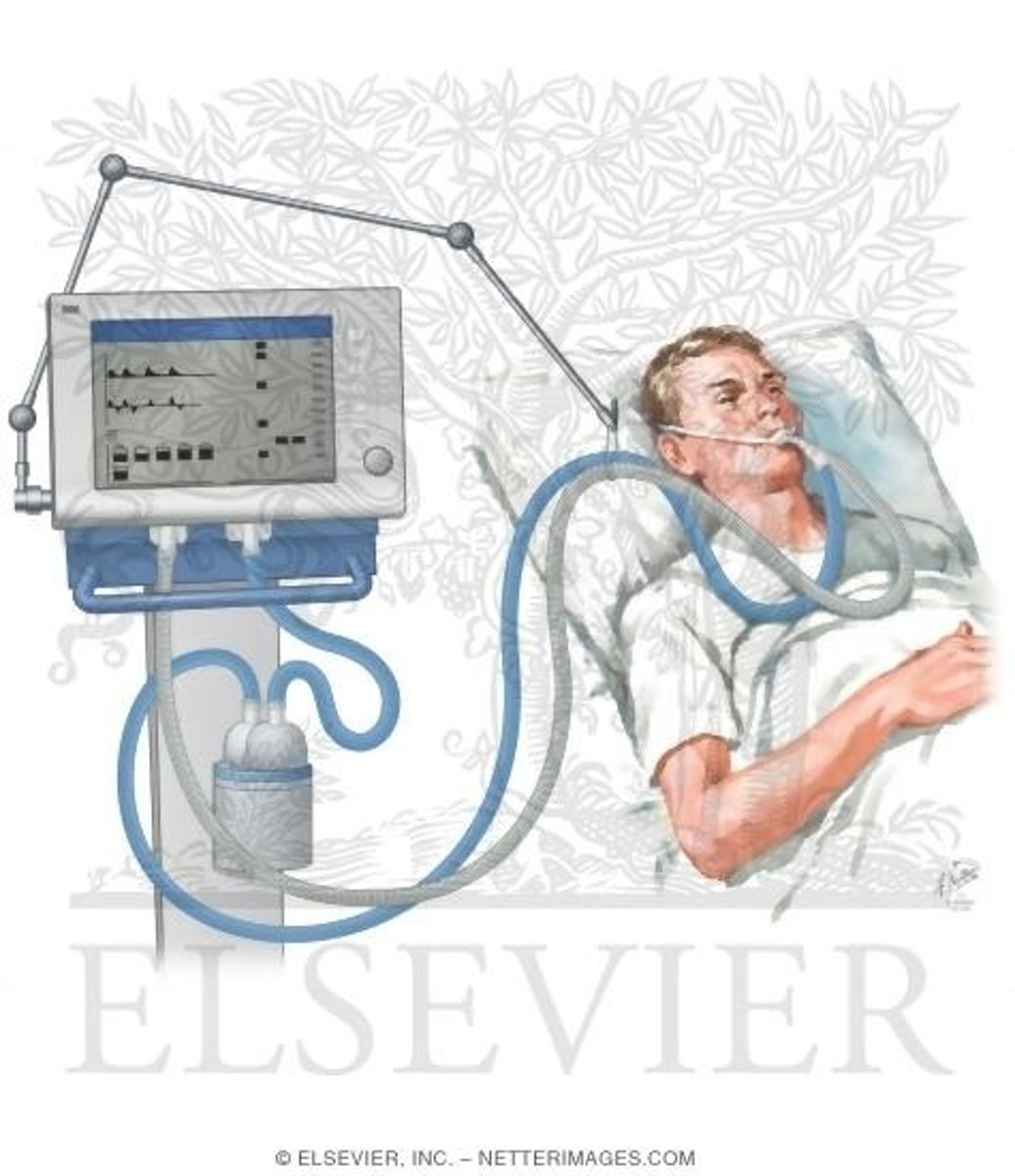 <p>machine-assisted breathing device connected to tracheal tubing; check for changes in insertion level before/after activity</p>