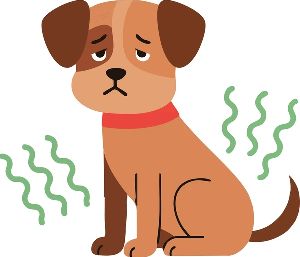 <p><strong>El perro apesta</strong></p>
