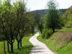 <p>on the way</p>
