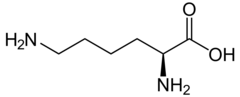 <p>10.50</p>