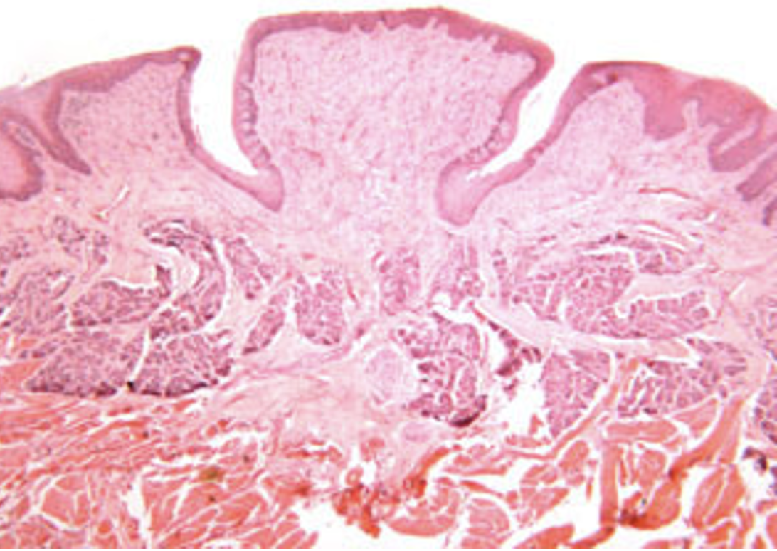 <p>what is this </p>