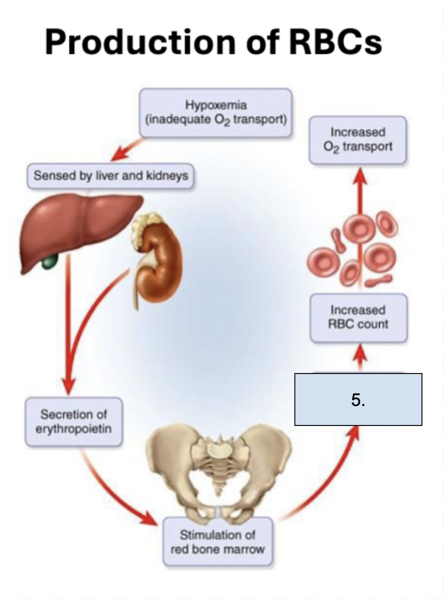 <p>What is happening in this step?</p>