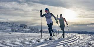 <p><span>trượt tuyết băng đồng(v)</span></p><p><span> (Khi trượt tuyết băng đồng, gậy trượt rất quan trọng để tạo lực đẩy.)</span></p>